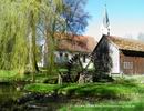 Schambachursprung in Schamhaupten